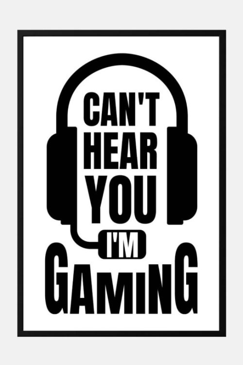 Cant Hear you im gaming